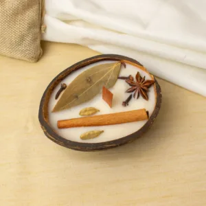 natural-self-care-coconut-shell-candle