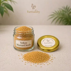 yellow-mustard-seeds-peeli-sarson-pooja-havan